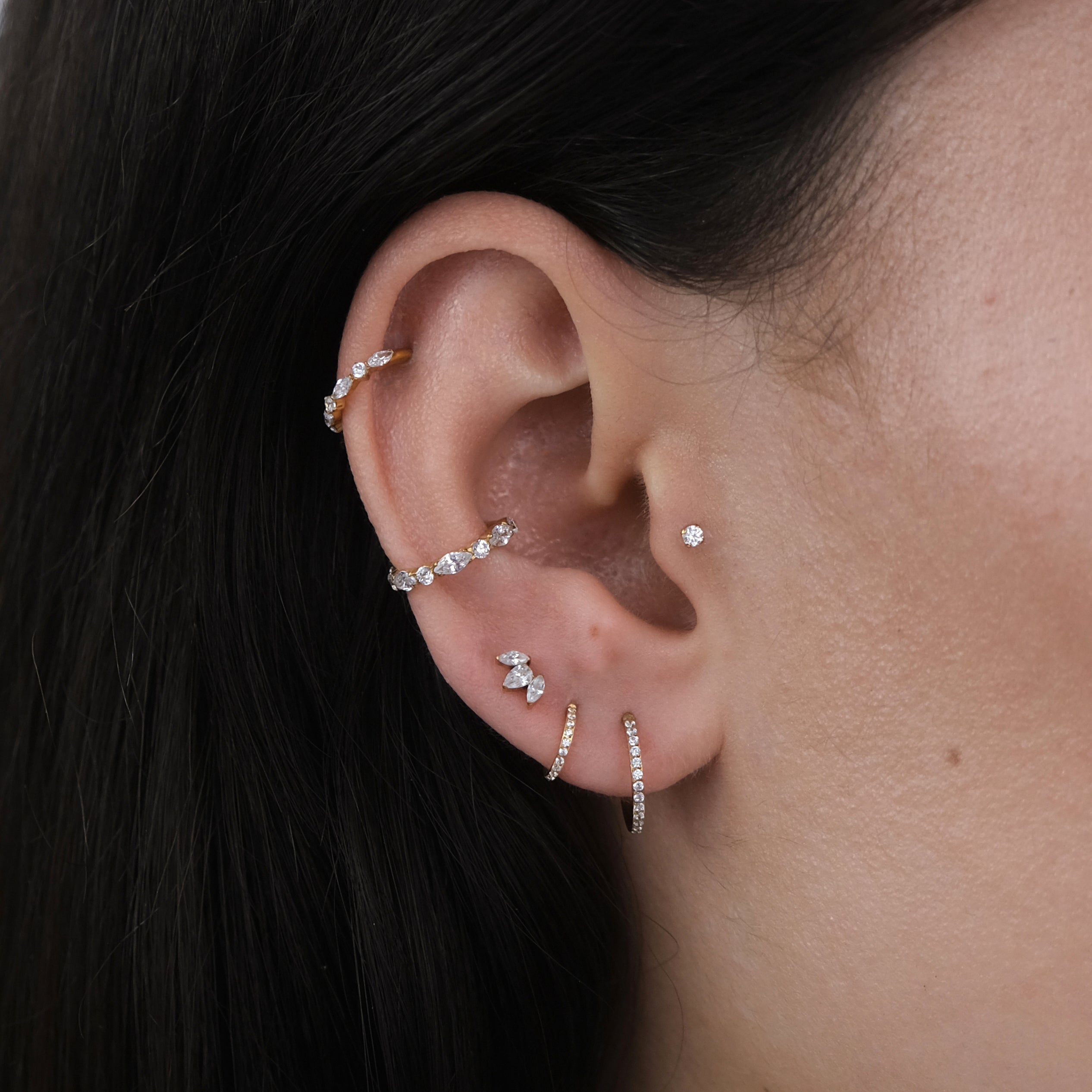 Marquise Conch Hoop Earring | ASTM F136 Titanium | 16g | Hypoallergenic