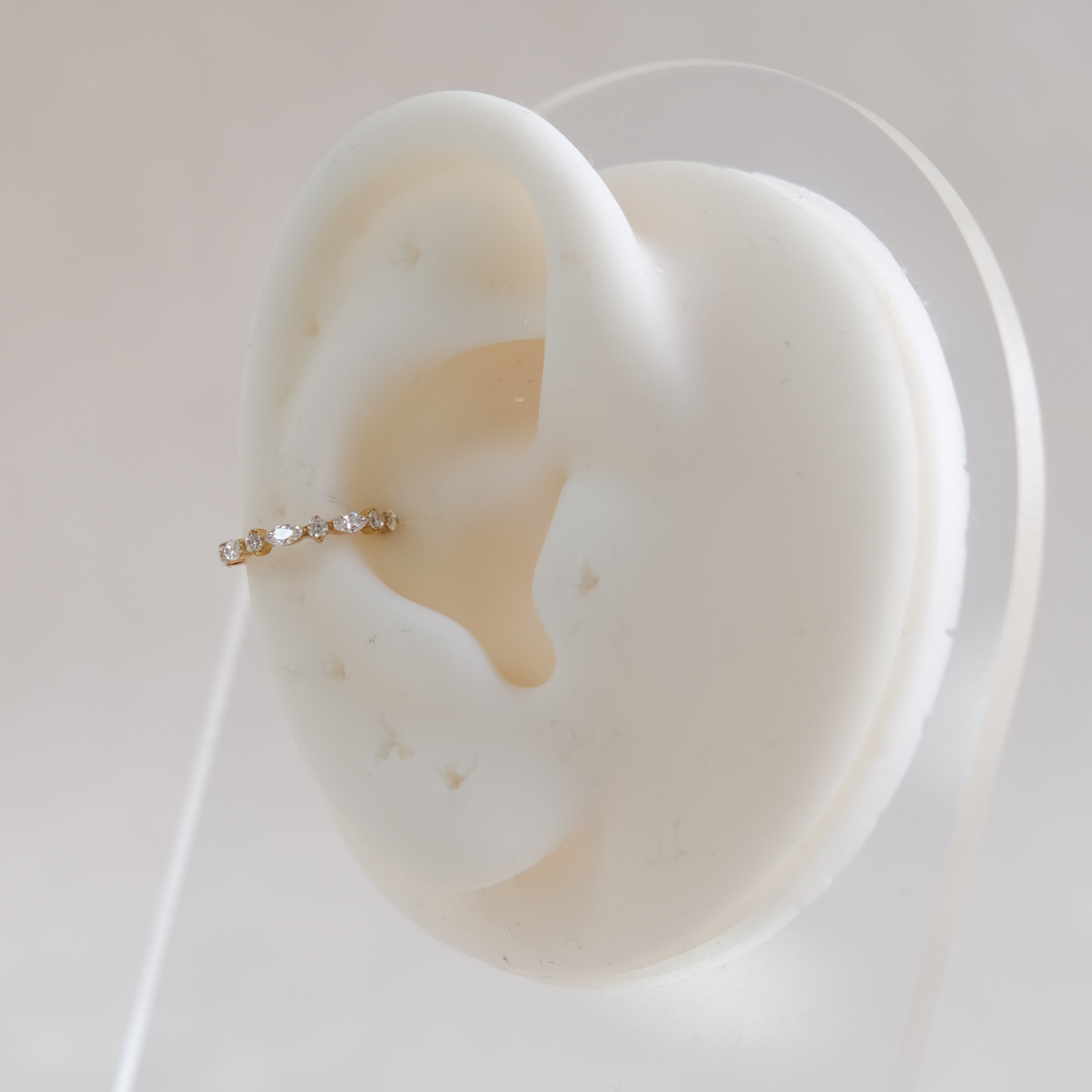 Marquise Conch Hoop Earring | ASTM F136 Titanium | 16g | Hypoallergenic