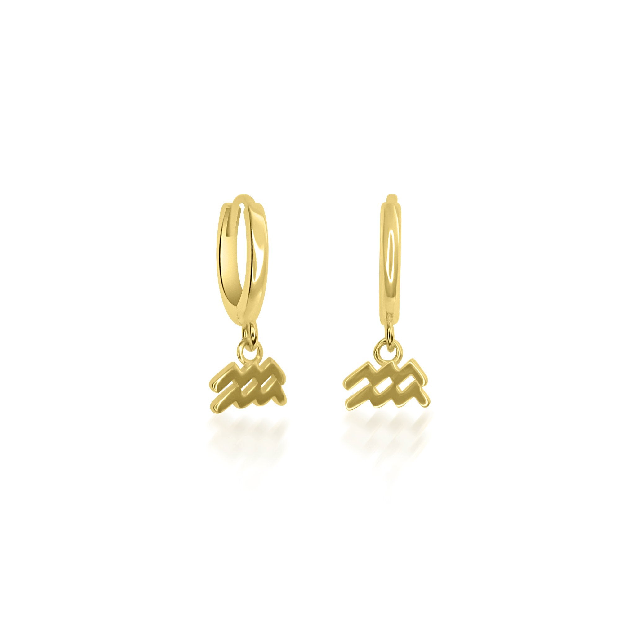 Zodiac Sign Huggie Hoop Earrings