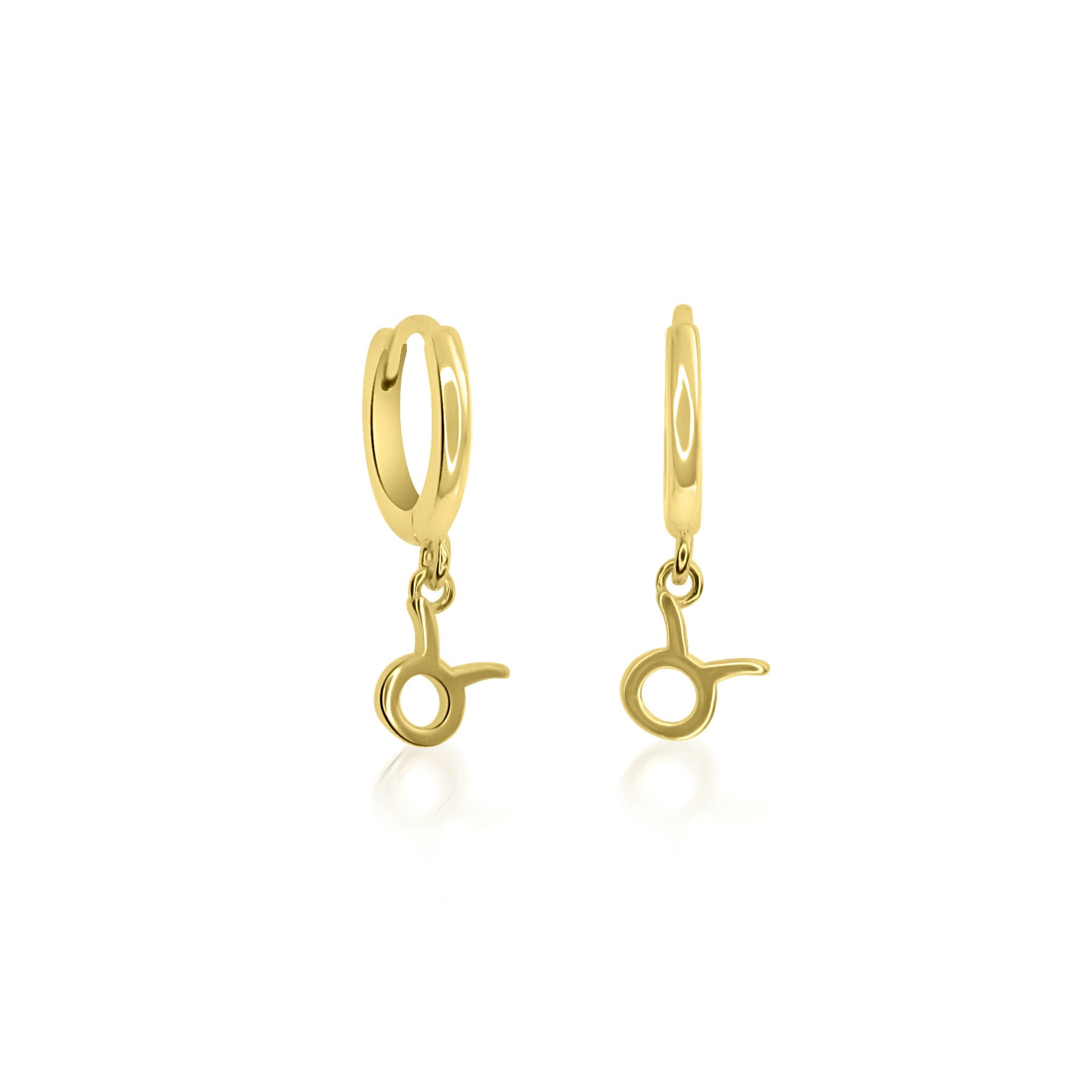 Zodiac Sign Huggie Hoop Earrings